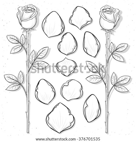 Isolated Rose Petals Handmade Sketch Style Stock Vector 