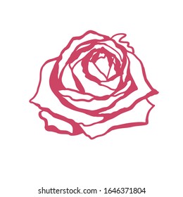 Isolated rose. Red rose on a white background. Vector image.