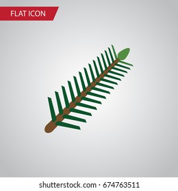 Isolated Rosemary Flat Icon. Spruce Leaves Vector Element Can Be Used For Rosemary, Spruce, Leaves Design Concept.