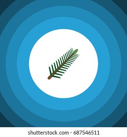 Isolated Rosemary Flat Icon. Spruce Leaves Vector Element Can Be Used For Rosemary, Spruce, Leaves Design Concept.