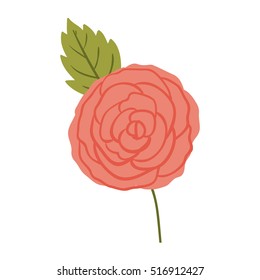 Isolated roses decoration design