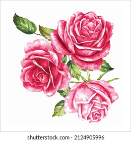 isolated roses vector flower bunch