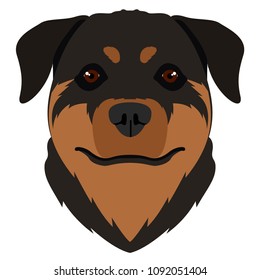 Isolated rottweiler avatar
