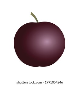 Isolated round flat art plum with a stem in purple and ruby color on white background