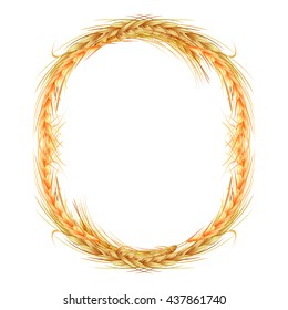 isolated round frame of rye, barley and oats