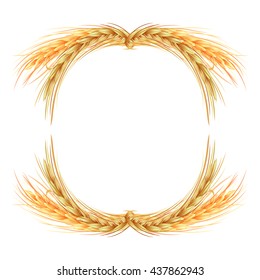 isolated round frame of rye, barley and oats