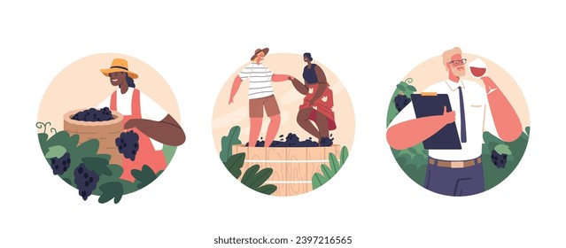 Isolated Round Icons or Avatars Winemaker Characters Harvesting Grapes, Crushing And Pressing Them, Sommelier Tasting