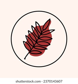 Isolated Rowan Leaf icon. Vector illustration in doodle style. Leaf theme of autumn, botany, nature, ecology and planet plants. Hand drawn Design for natural and organic designs, icon, web elements.