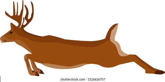 Isolated running deer illustration in vector. Reindeer illustration