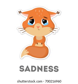 Isolated sad squirrel with tears on white background.