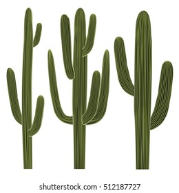 Isolated Saguaro Cactus Set. Vector illustration