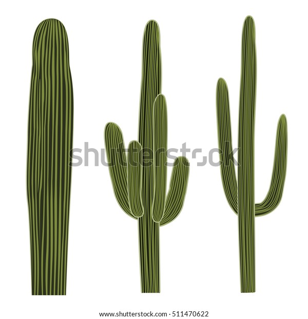 Isolated Saguaro Cactus Set Vector Illustration Stock Vector Royalty Free 511470622 5922