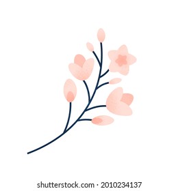 Isolated sakura branch isolated element . Cherry blossom. Decorative Japan floral textured flat clipart.	
