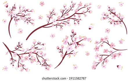 Isolated sakura branches collection . Cherry blossom set. Decorative Japan floral cartoon clipart.