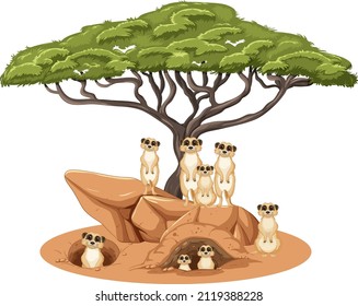 Isolated savanna forest and meerkats illustration