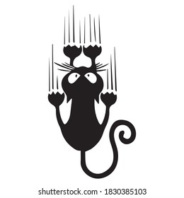 Isolated scared cat. Animal icon - Vector illustration