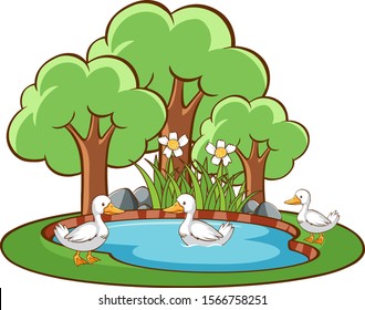 Isolated scene with ducks in the pond illustration