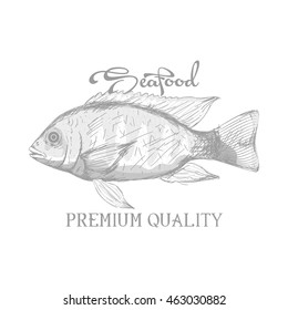 Isolated sea food label design, Vector illustration
