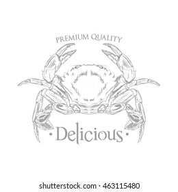 Isolated sea food label design, Vector illustration