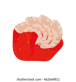 Isolated sea food on white background, Vector illustration