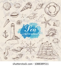 Isolated sea objects. Shells, starfish, anchor, lighthouse, fish, ship. Vector illustration for your design