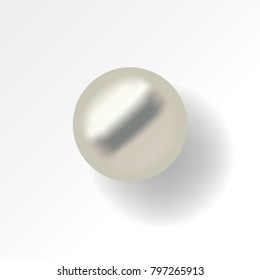 isolated sea pearl vector on the top view 