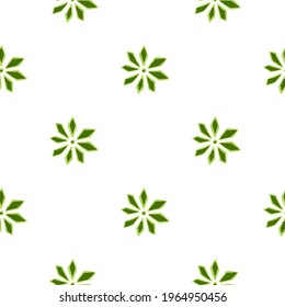 Isolated seamless doodle pattern with carnation flowers elements. White background. Green ornament. Stock illustration. Vector design for textile, fabric, giftwrap, wallpapers.