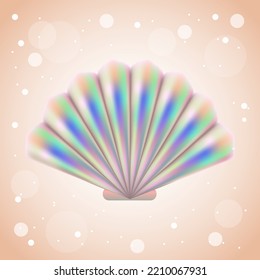 Una concha de mar aislada. Vieira. Ilustración vectorial.
