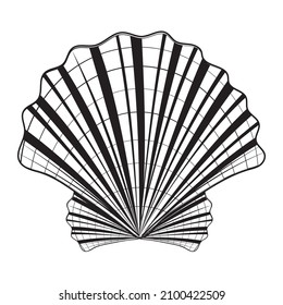 Isolated seashell. Vector illustration of a black contour line, in the style of a doodle.