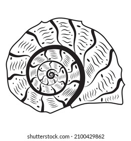 Isolated seashell. Vector illustration of a black contour line, in the style of a doodle.