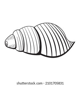 Isolated seashell. Vector illustration of a black contour line, in the style of a doodle