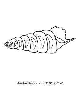 Isolated seashell. Vector illustration of a black contour line, in the style of a doodle