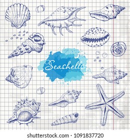 Isolated seashells on paper. Vector illustration for your design
