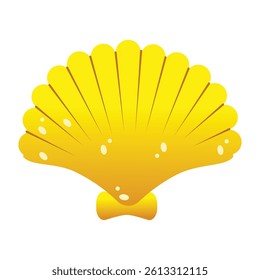 isolated seashells on a white background