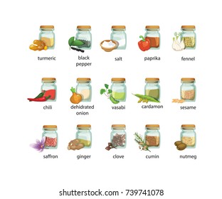 Isolated seasonings and spices in jars and bunch in realistic style. Different spices, herbs - icons set on a white background. Indian, asian cuisine. Fresh and dry spices. Vector illustration.