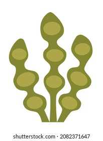 Isolated seaweed icon for aquarium and marine theme
