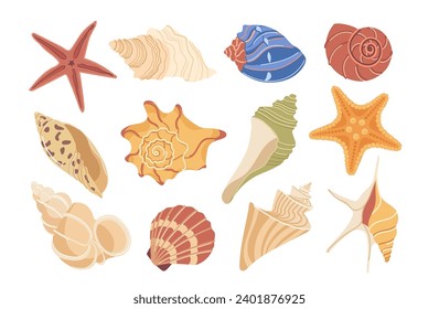 Isolated set of colorful conch and seashells different form, shape, beautiful underwater sea star
