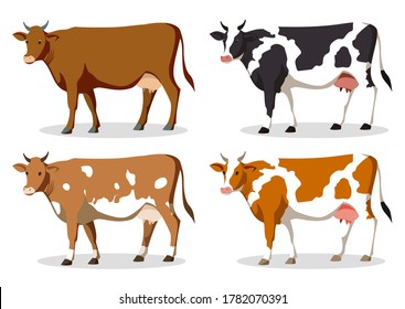 isolated set of cows on a white background shutterstock