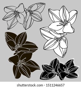 Isolated set of decorative silhouettes of colchicum. The design is perfectly suitable for clothes design, stickers, stationary, tattoos.