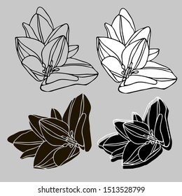 Isolated set of decorative silhouettes of colchicum. The design is perfectly suitable for clothes design, stickers, stationary, tattoos.