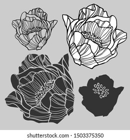 Isolated set of decorative silhouettes of lush peonies. The design is perfectly suitable for clothes design, children decoration, stickers, stationary, tattoos. 