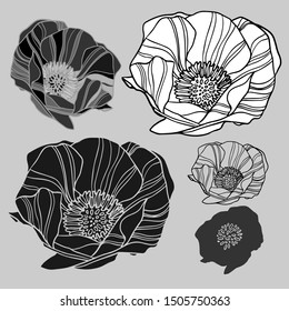 Isolated set of decorative silhouettes of lush peonies. The design is perfectly suitable for clothes design, children decoration, stickers, stationary, tattoos. 