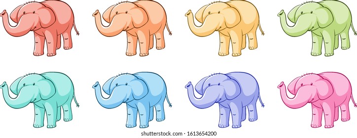 Isolated set of elephant in many colors illustration