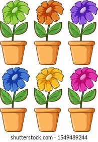 Conjunto aislado de flor en diferentes colores ilustración