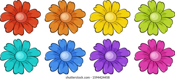 Einziger Blumenbestand, Illustration