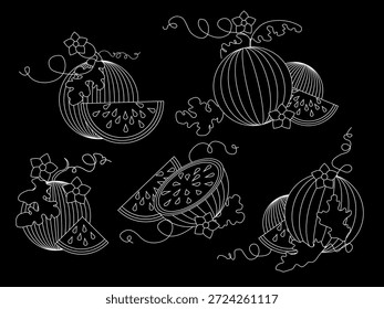 Conjunto isolado de melancia desenhada à mão. Impressão floral monocromática em preto e branco. Desenhar melancias suculentas , fatias, folhas e flores. Fruta fresca tropical exótica. Ilustração em estilo plano minimalista dos desenhos animados vetoriais. Padrão de rabiscar