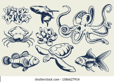 Isolated set of illustrations of a shark, little fish, corals, octopus and turtle.