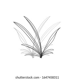 Isolated set of individual designs of plants.  Tropical plants' vector designs. Simple balck and white minimalistic flower icons
