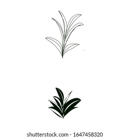 Isolated set of individual designs of plants.  Tropical plants' vector designs. Simple minimalistic botanic icons