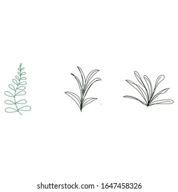 Conjunto aislado de diseños individuales de plantas.  Diseño vectorial de las plantas tropicales. Iconos botánicos simples y minimalistas